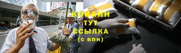 амф Верея