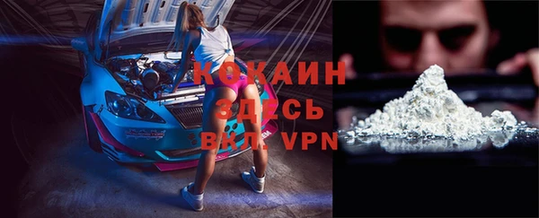 амф Верея