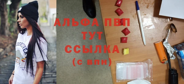амф Верея