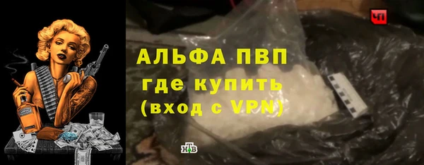 амф Верея