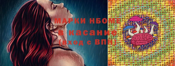 амф Верея